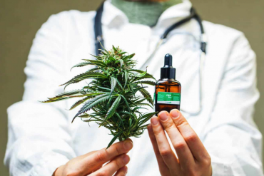 Can CBD Really Help Us in Improving Focus and Concentration?